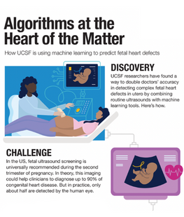Algorithms at the Heart of the Matter