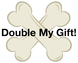 Double my gift