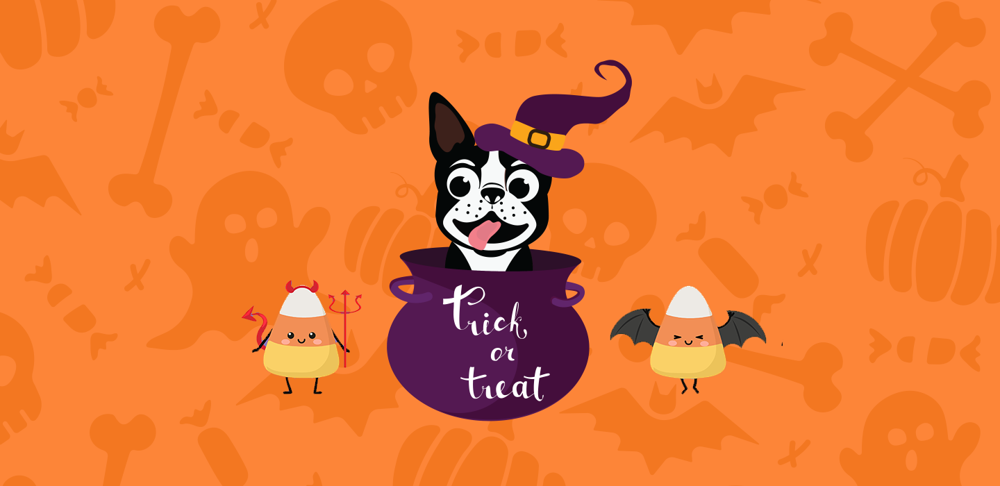 Thank you for sending a Halloween eCard to our kids!