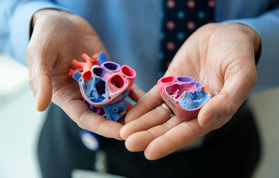 3D Heart