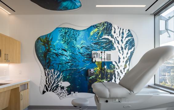 New clinic room interior