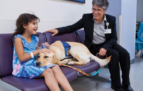 Watch our beloved facility dog.