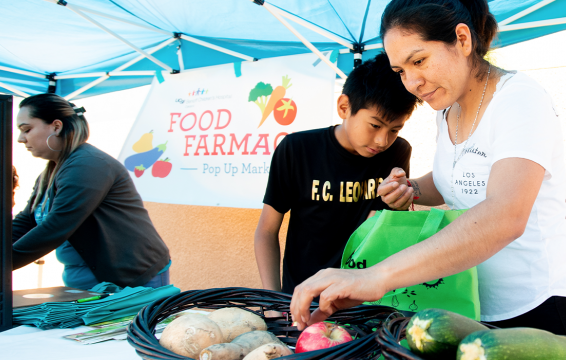 Food Farmacies in action