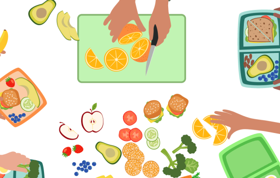 Healthy Bodies Healthy Minds