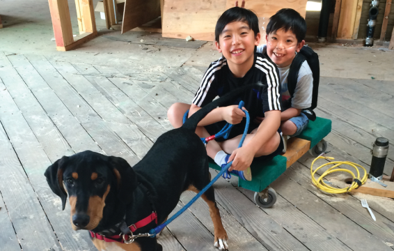 Kyle Quan and his brother 