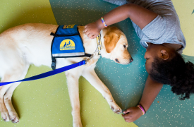 Pet Therapy